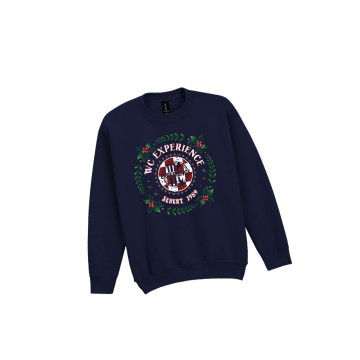 Logo blauwwwwwwwwkids